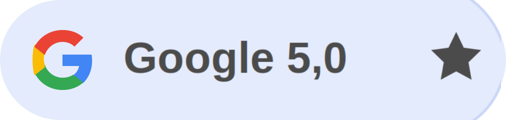 Google 5,0